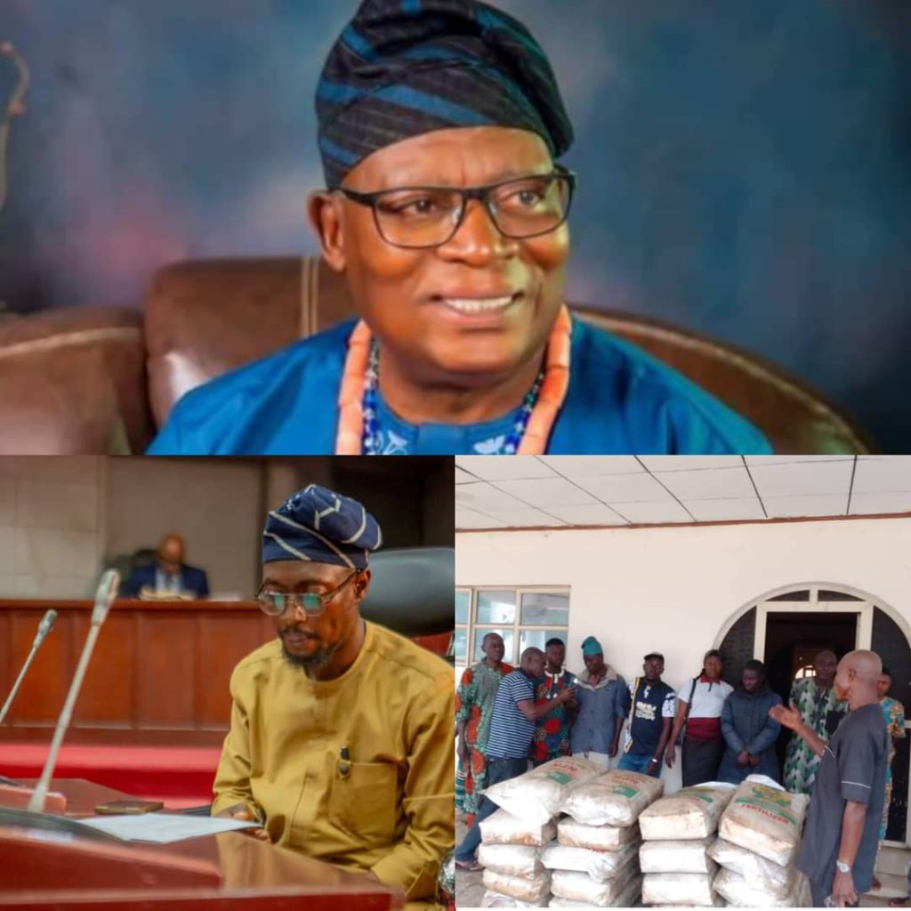 Food Production: Ilora Monarch, Oba Oparinde Distributes Bags of Fertilizers to Farmers