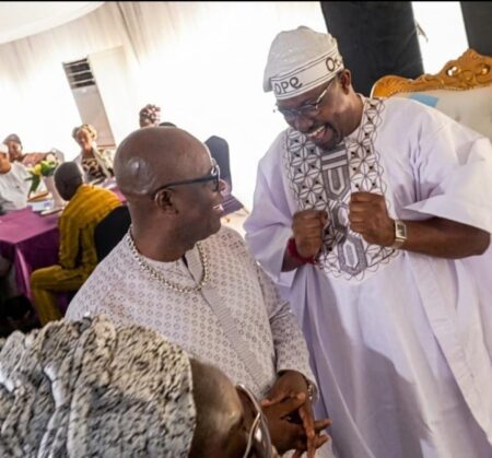 Egbeda/Ona-Ara: Again, JDS Reiterates Support for OTOPE