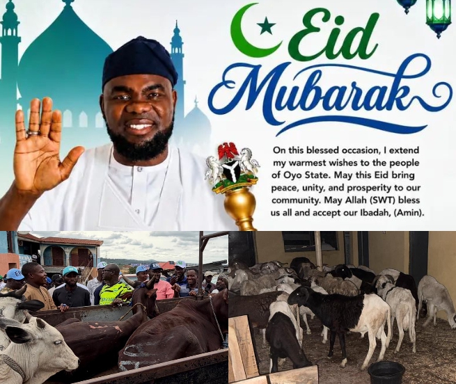Eid-el-Kabir: Hon Solomon Olalere Spreads Joy in Akinyele Constituency 2 with Rice, Rams & Cows Distribution