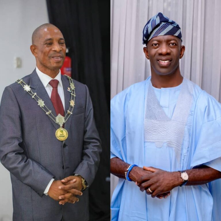 Adekanmbi Urges Professionals to Uphold Ethics, Duty of Care in Public Service