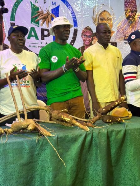 2027: I’ll build on Makinde’s developmental strides if elected – BIMADEK assures