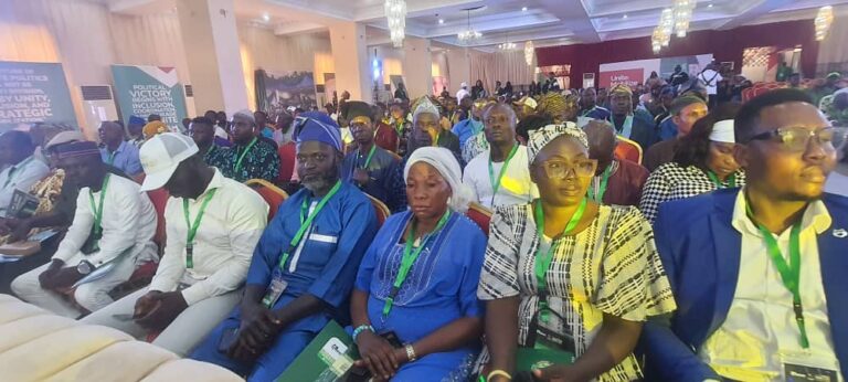 Stakeholders Call for Greater Youth, Women Participation Ahead of 2027 at Ibadan Summit